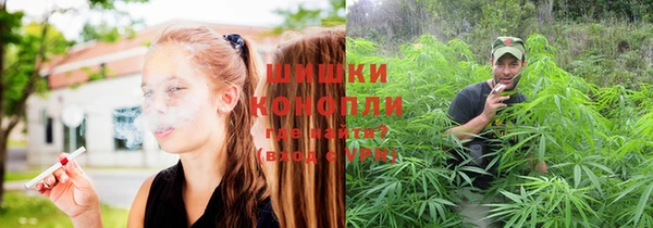 spice Володарск