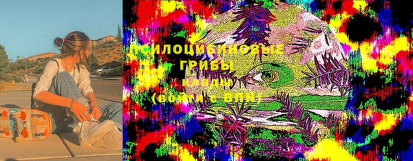 spice Володарск