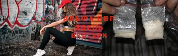 spice Володарск