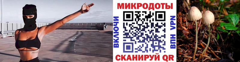 Галлюциногенные грибы GOLDEN TEACHER  Купить  Томилино 