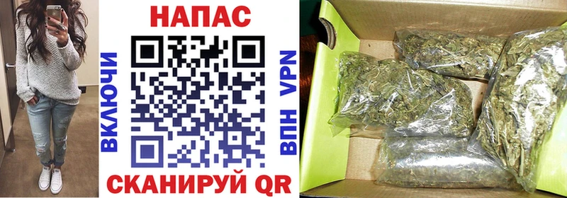 Конопля конопля  Купить где  Томилино 